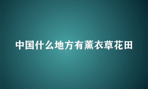 中国什么地方有薰衣草花田
