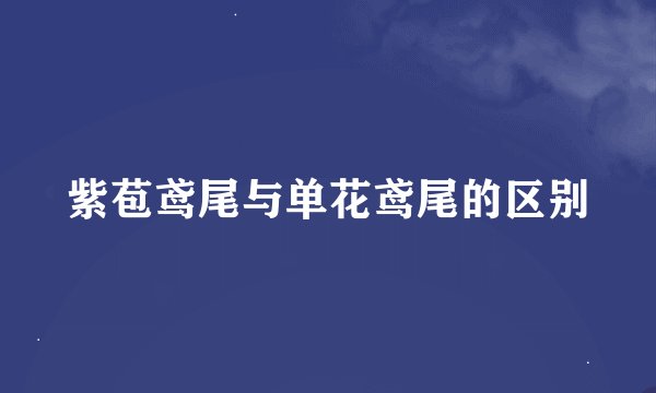 紫苞鸢尾与单花鸢尾的区别