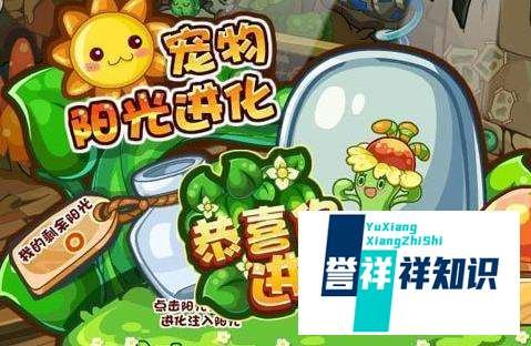 洛克王国阳光收集瓶怎么得