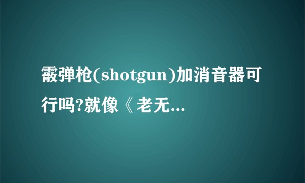 霰弹枪(shotgun)加消音器可行吗?就像《老无所依》中一样。