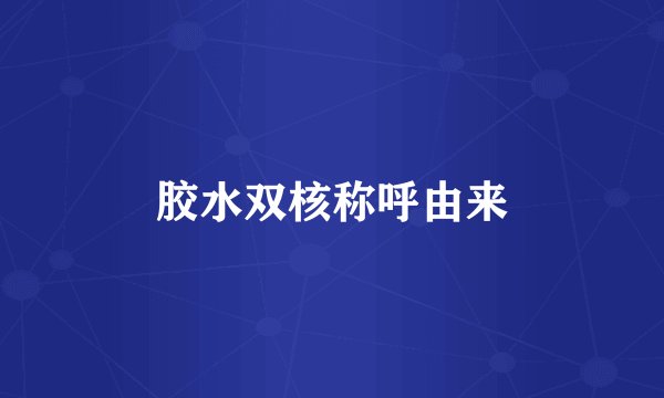 胶水双核称呼由来