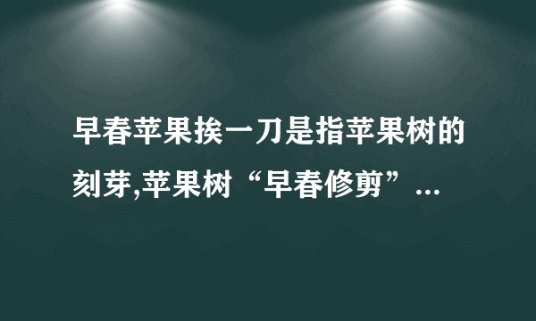 早春苹果挨一刀是指苹果树的刻芽,苹果树“早春修剪”，就是挨一刀