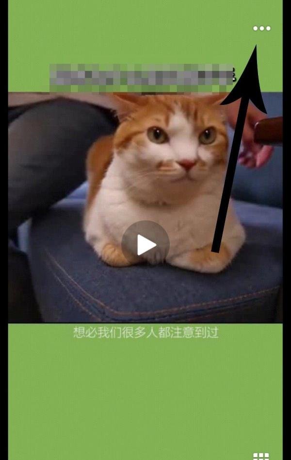 新版qq视频怎么保存下载