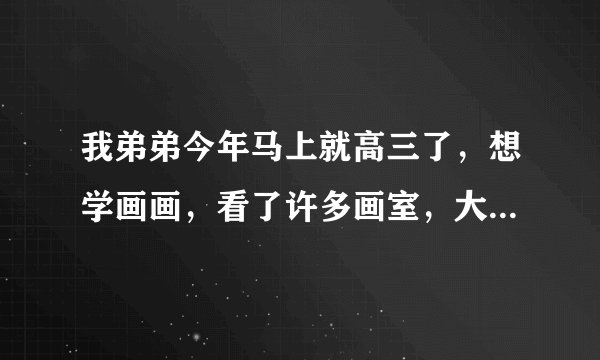 我弟弟今年马上就高三了，想学画画，看了许多画室，大一，笑笑，大意象等可多了，