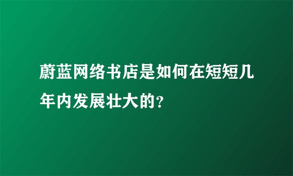 蔚蓝网络书店是如何在短短几年内发展壮大的?