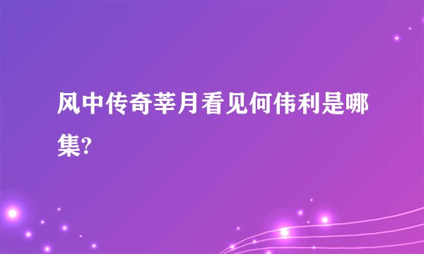 风中传奇莘月看见何伟利是哪集?