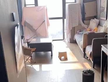 河南一家8口住酒店:全家准备住一辈子,如此决定引社会热议