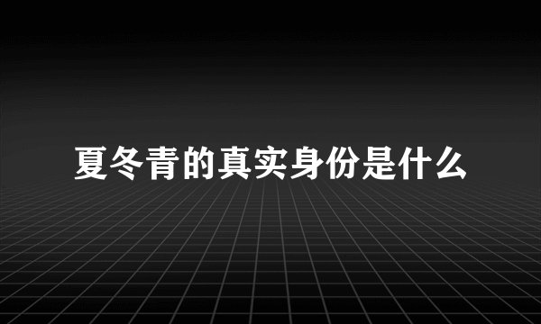夏冬青的真实身份是什么