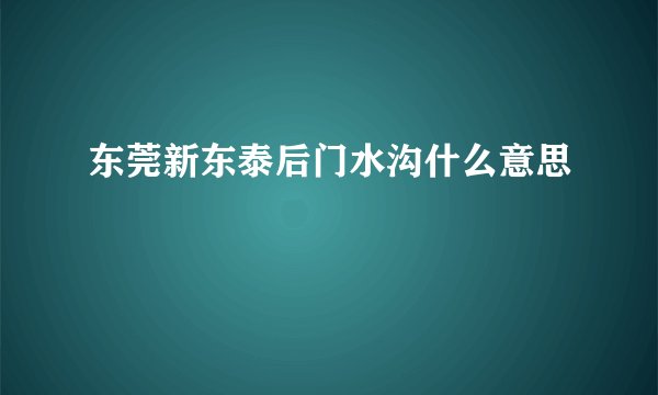 东莞新东泰后门水沟什么意思