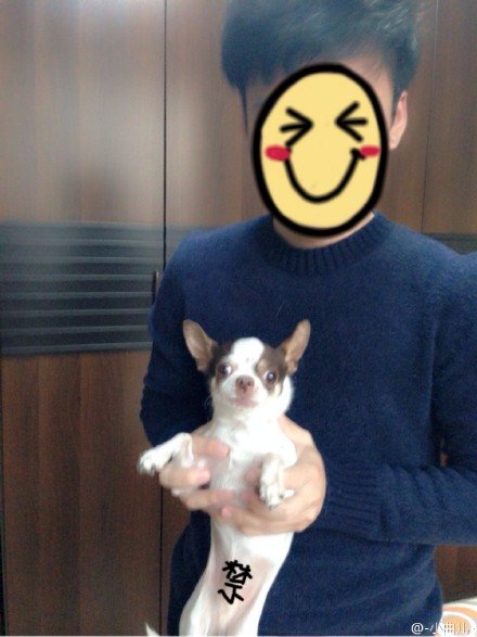 小曲儿的照片= =