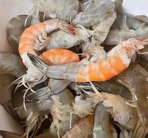 活虾从菜场拎到家熟了三只,浙江究竟有多热?