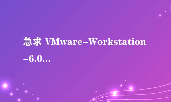 急求 VMware-Workstation-6.0.0-45731 序列号
