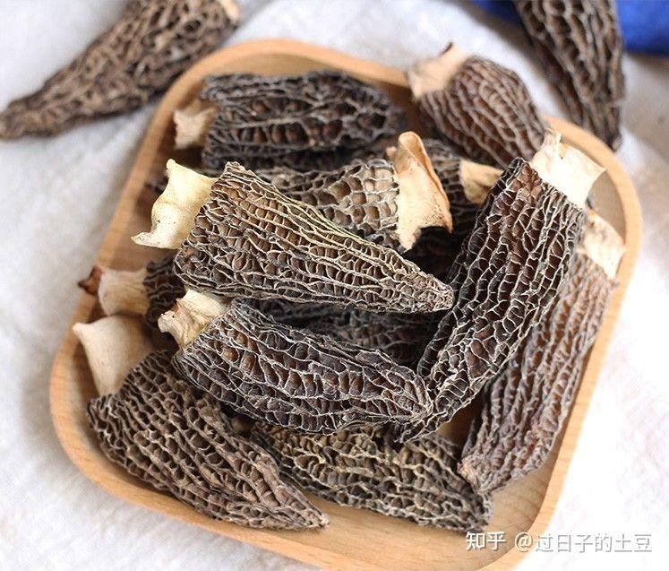 羊肚菌多少钱一斤干的