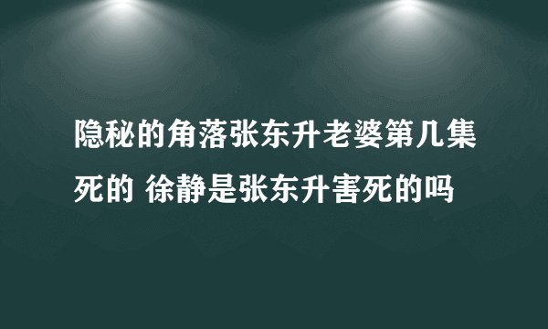 隐秘的角落张东升老婆第几集死的 徐静是张东升害死的吗