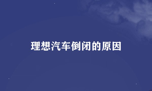 理想汽车倒闭的原因