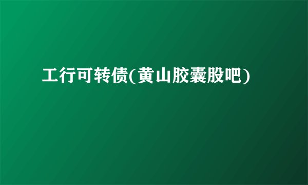 工行可转债(黄山胶囊股吧)