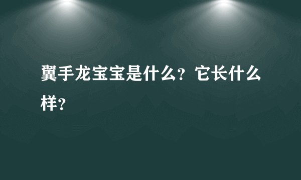翼手龙宝宝是什么？它长什么样？
