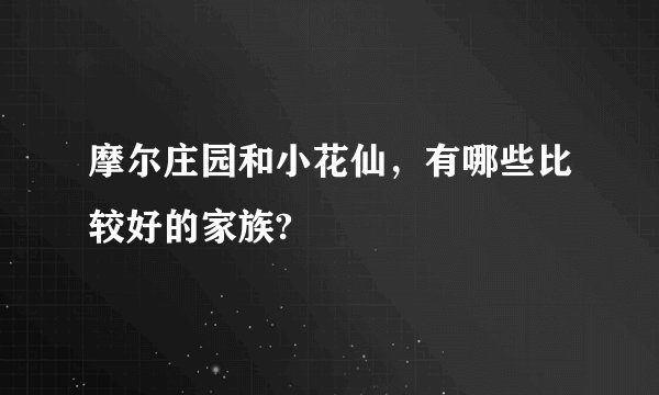 摩尔庄园和小花仙，有哪些比较好的家族?