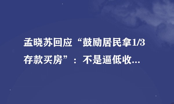 孟晓苏回应“鼓励居民拿1/3存款买房”:不是逼低收入家庭购房