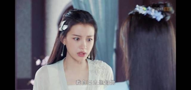 如何鉴定白莲花?