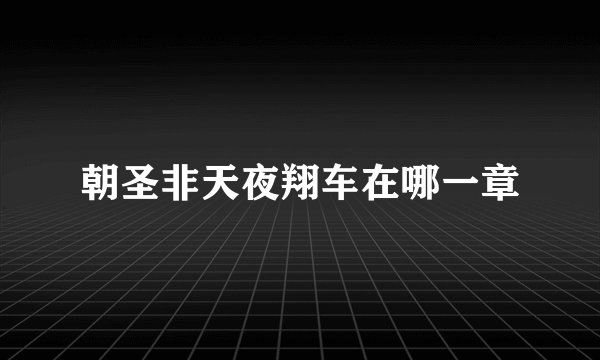 朝圣非天夜翔车在哪一章