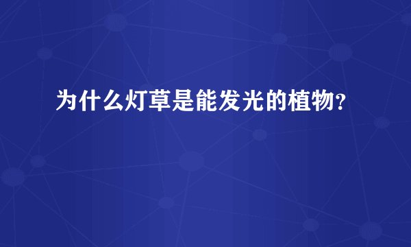 为什么灯草是能发光的植物？