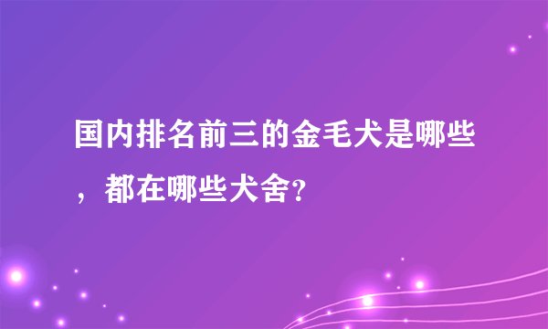国内排名前三的金毛犬是哪些，都在哪些犬舍？