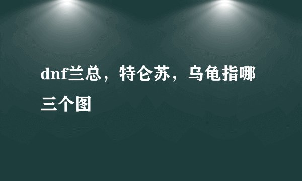 dnf兰总，特仑苏，乌龟指哪三个图