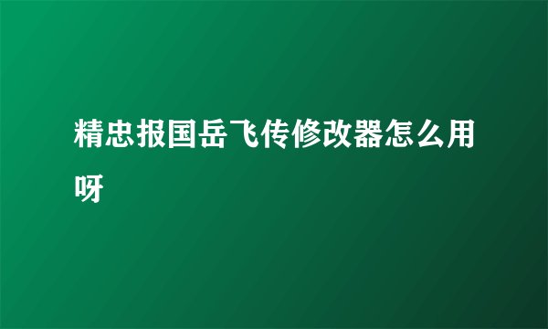 精忠报国岳飞传修改器怎么用呀