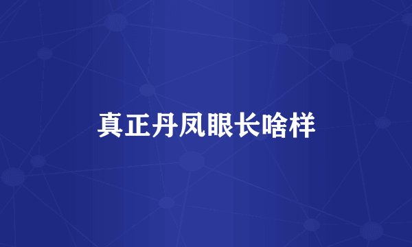 真正丹凤眼长啥样
