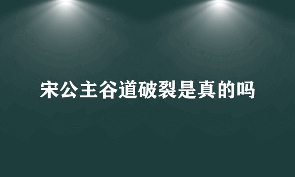 宋公主谷道破裂是真的吗