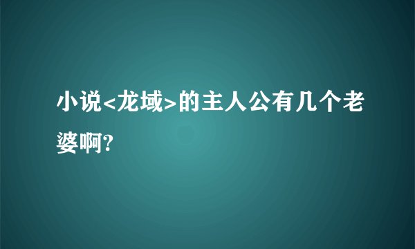 小说<龙域>的主人公有几个老婆啊?