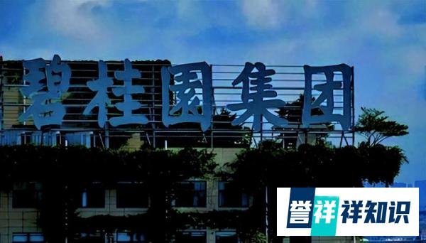 传言:碧桂园创始人卖私人飞机偿债,杨国强近期罕见露面