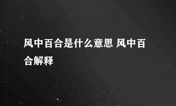 风中百合是什么意思 风中百合解释