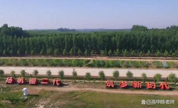 山东一地的80后和90后全部回村就业，究竟是什么改变了他们的想法呢？