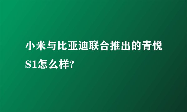 小米与比亚迪联合推出的青悦S1怎么样?