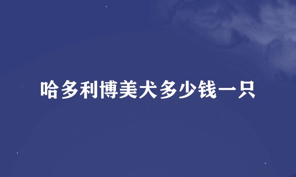 哈多利博美犬多少钱一只