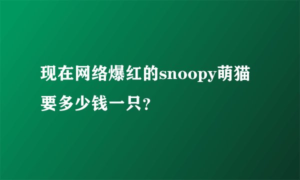 现在网络爆红的snoopy萌猫 要多少钱一只？