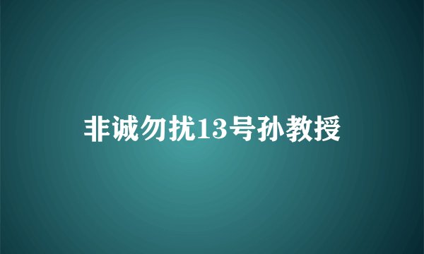 非诚勿扰13号孙教授