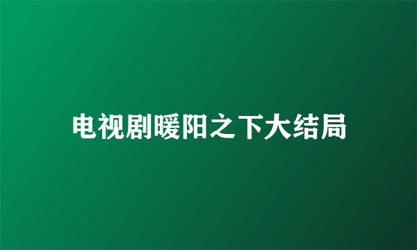 电视剧暖阳之下大结局