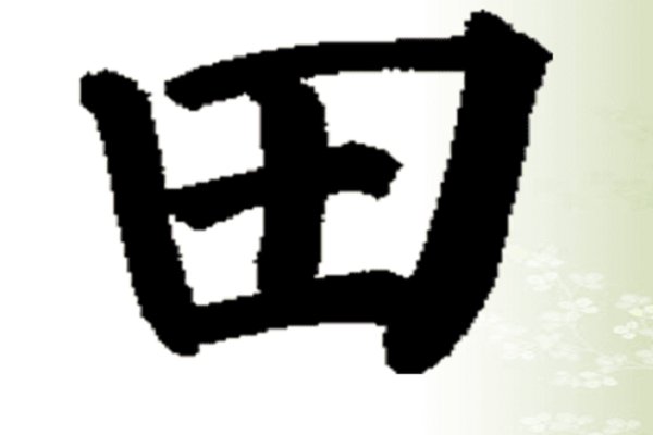 田有10个独体字