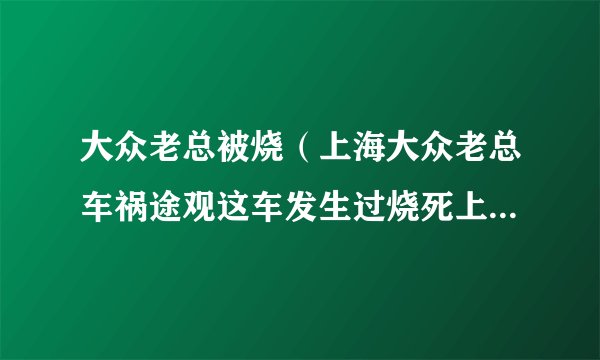 大众老总被烧(上海大众老总车祸途观这车发生过烧死上海大众老总的事故吗)