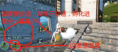 妄想山海 玉狐怎么孵化不动?