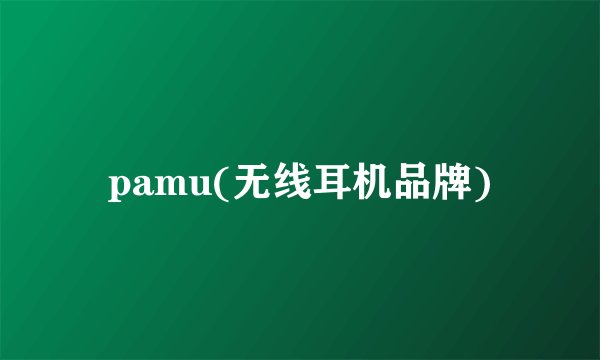pamu(无线耳机品牌)
