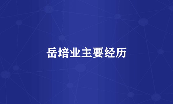 岳培业主要经历