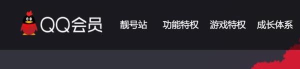 QQ如何进入会员官网