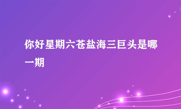 你好星期六苍盐海三巨头是哪一期