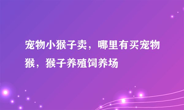 宠物小猴子卖，哪里有买宠物猴，猴子养殖饲养场