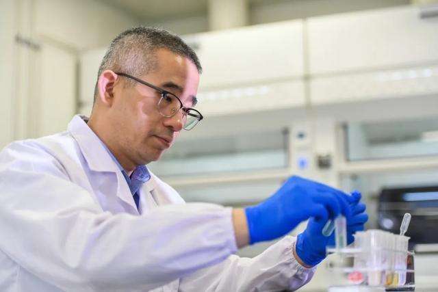 警方在菜叶上指纹破命案,具体是什么情况?