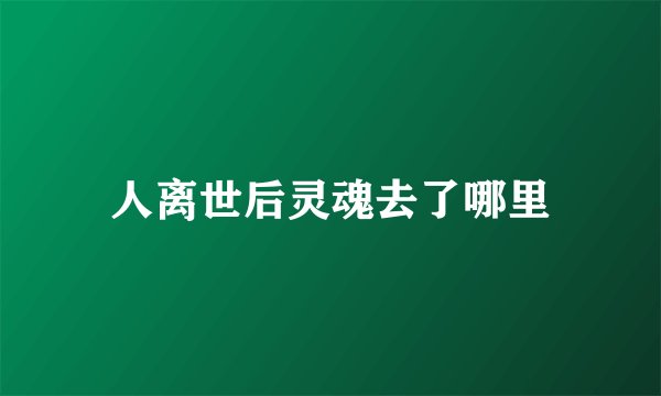 人离世后灵魂去了哪里